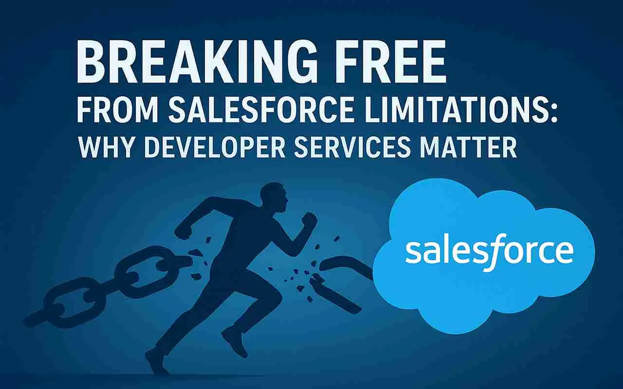 Beyond the Basics How Salesforce Developer Services Transform Struggling Systems